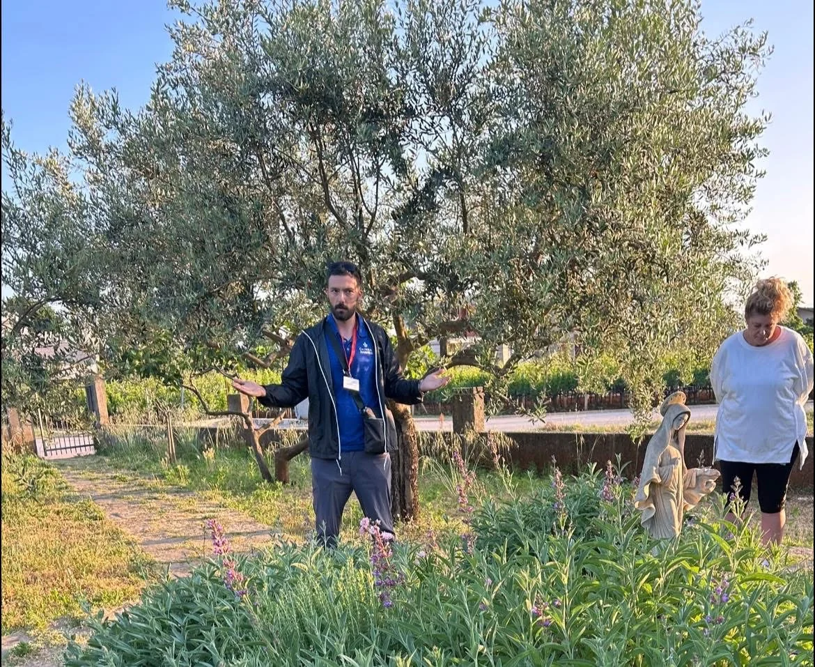 Local guide